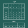 Skirt and Top Set - Image 8